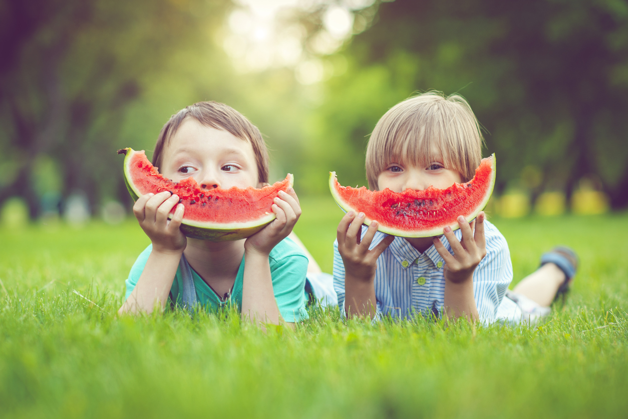 Happy little boys eating watermelon in a park